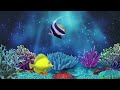 Baby Lullaby. Soothing fishes.Calming Undersea Animation. Aquarium 🐟 💤