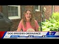 New restrictions to be proposed for backyard breeders in Marion Co.