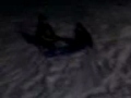 Gary Sledding W/ The Boys