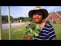 CUSTOM Trellises Took  Patience💞 , Sweet potato 🐇Nibbles, Zone 5b  Garden Overview And THANK U Kate😍