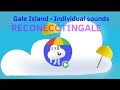 Gale island Individual Sounds- RECONECCTINGALE