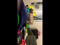 Dogfight #cutepuppy #cutedogvideos #Shorts￼￼