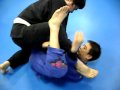 korea jiujitsu johnfrankl bjj ratel yellow