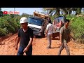 Evakuasi Paling Boros | 2 Motor Greder + Beko Loader Membuat Driver Truck Mengamuk