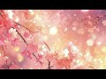 Blossom Dreams: Music for an Enchanting Floral Land | Dreamy Mind Retreat