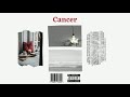 CANCER. [CHILL] Frank Ocean x Minecraft Type Beat (Zodiac) | prod. dhiilawn