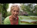 Carol Klein’s Plant Odyssey - Water Lilies