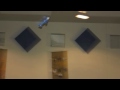 IEQF Indoor Fly 02:04:2011.m4v