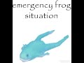 matt rose: emergency frog situation!