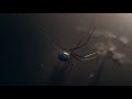 Droplets - Macro Cinematography