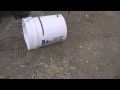 Live Bucket Trap