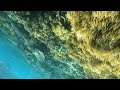 Great Barrier Reef Part 2