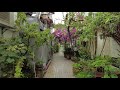 4K Rain Walk In Secret Back Alley Along Emerald Hill : Nostalgic Singapore Shophouses Architecture