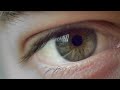 Eyes - Macro Cinematography