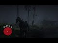 I cant stop laughing! Rdr2