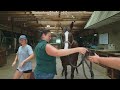 Horse Chiropractor Reveals Secrets!!