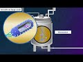 Recombinant DNA Technology - Animated Video