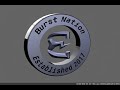burstnation logo animation