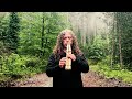 Forest Oasis - Native American Flute & Nature Sounds