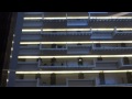 AWESOME & FAST!!! Otis High-Speed Elevators at Hyatt Regency in Atlanta, GA.