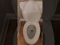 Toilet running, won't flush at all, handle is not catching