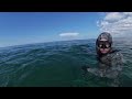 Shallow Water Spearfishing | 10-20 Ft | Grouper Head Soup