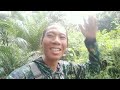 HUNTING TEKUKUR TUPAI DAN PUNAI UKLIK LEGEND SHARP TIGER@pendisangpetualang