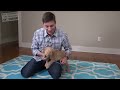 3 Easy Things to Teach your NEW PUPPY!