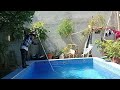 whole process of cleaning swimming pool