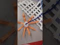 spider craft