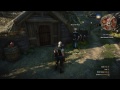 The Witcher 3 - Yennefer's horse is really protective
