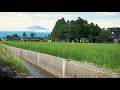 Escape to the Japanese Countryside | Relaxing Ambient 4k