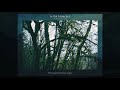 In The Branches - Wilderness Time (2016) - Ambient Guitar / Full Album with Booklet Visuals