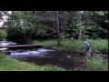 Brown Trout on Bamboo Fly Rod