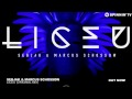 Sebjak & Marcus Schossow - Liceu (Original Mix)