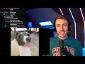 Miniminter Reacts To Best Dog Videos of the Decade