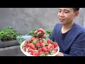 Surprised with how to grow strawberries in plastic tubes | Big, sweet and fruity