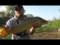 This Carp Bait Triggered a Feeding Frenzy! (Nonstop Action)