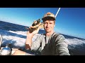 Diving the Meg Ledge - North Carolina Megalodon ledge scuba diving