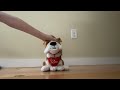 Kids Of America Corp. Singing Valentine Pups Bulldog “I Can’t Stop Loving You”