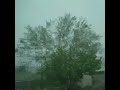 Huge storm that ripped through my area today. #storm #windy #torrentialrain #lightning #thunderstorm