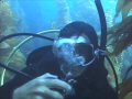 Beneath the Surface - Diving Catalina Island, California