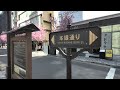 Japan - Early Cherry Blossoms in the middle of Tokyo 2024 Walking Tour [4K/HDR/Binaural]