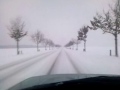 Pinin on snowy road .mp4