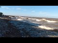 Río de la Plata visto desde la Reserva Ecológica Costanera Sur