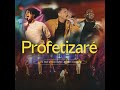 Profetizaré