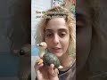 Filhote de pato tartaruga Avatar// Biscuit tutorial 🦆🐢
