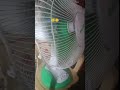 OMG! What happened of electric fan? #happyfunday #fanfun  #shortvideo