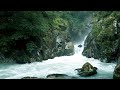 Stunning view and pure water fall sounds