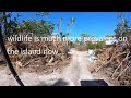 Hurricane Ian - Update on North Captiva Island